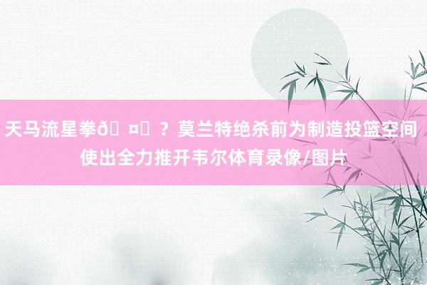 天马流星拳🤔？莫兰特绝杀前为制造投篮空间 使出全力推开韦尔体育录像/图片