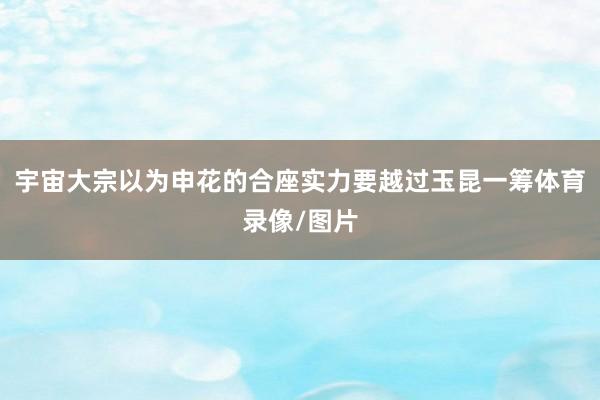 宇宙大宗以为申花的合座实力要越过玉昆一筹体育录像/图片