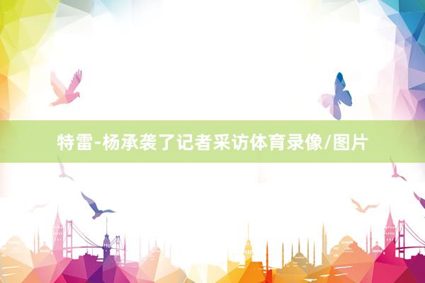 特雷-杨承袭了记者采访体育录像/图片