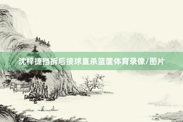 沈梓捷挡拆后接球直杀篮筐体育录像/图片