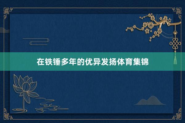 在铁锤多年的优异发扬体育集锦