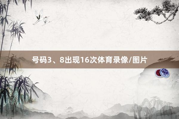 号码3、8出现16次体育录像/图片