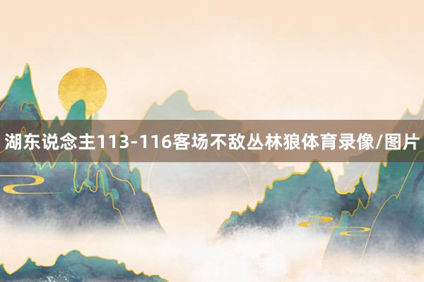 湖东说念主113-116客场不敌丛林狼体育录像/图片