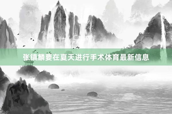 张镇麟要在夏天进行手术体育最新信息