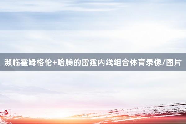 濒临霍姆格伦+哈腾的雷霆内线组合体育录像/图片