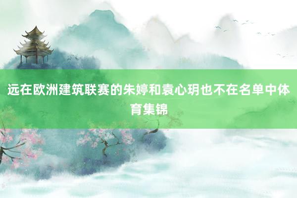 远在欧洲建筑联赛的朱婷和袁心玥也不在名单中体育集锦