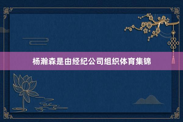 杨瀚森是由经纪公司组织体育集锦