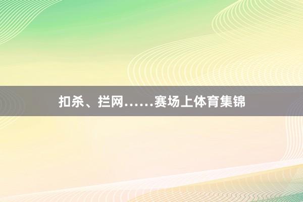 扣杀、拦网……赛场上体育集锦