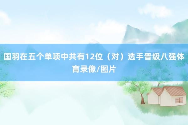 国羽在五个单项中共有12位(对)选手晋级八强体育录像/图片