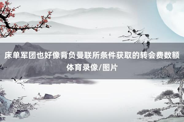 床单军团也好像背负曼联所条件获取的转会费数额体育录像/图片