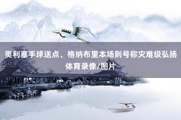 奥利塞手球送点、格纳布里本场则号称灾难级弘扬体育录像/图片