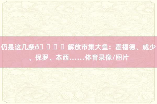 仍是这几条🐟️解放市集大鱼：霍福德、威少、保罗、本西……体育录像/图片