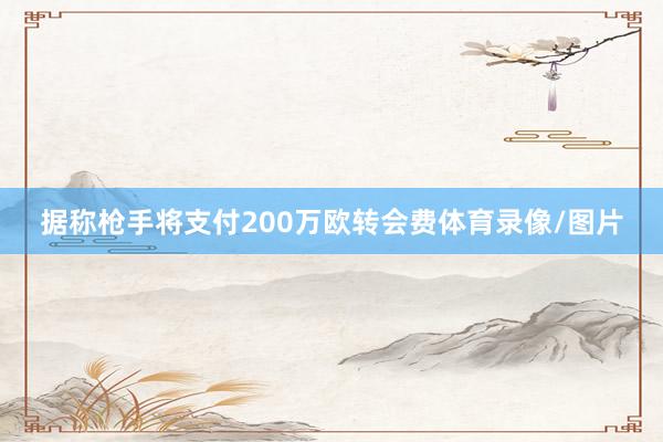 据称枪手将支付200万欧转会费体育录像/图片