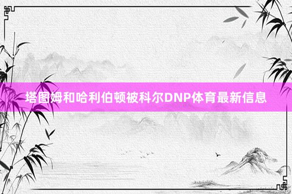 塔图姆和哈利伯顿被科尔DNP体育最新信息