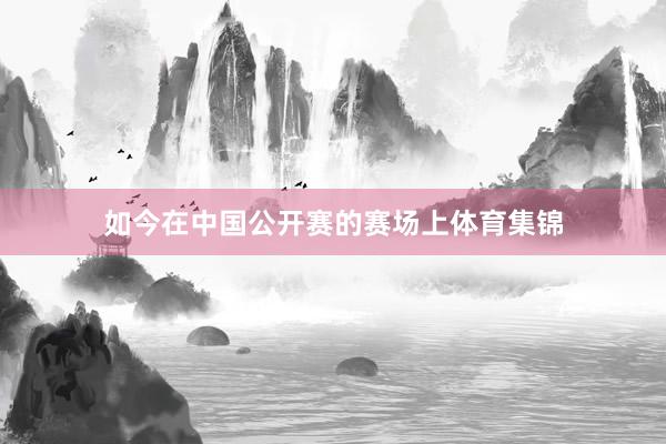 如今在中国公开赛的赛场上体育集锦