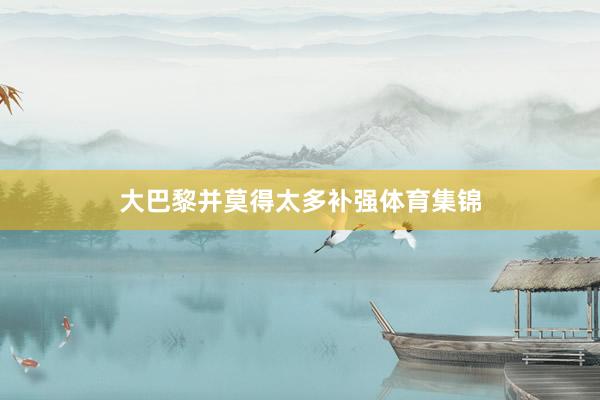 大巴黎并莫得太多补强体育集锦