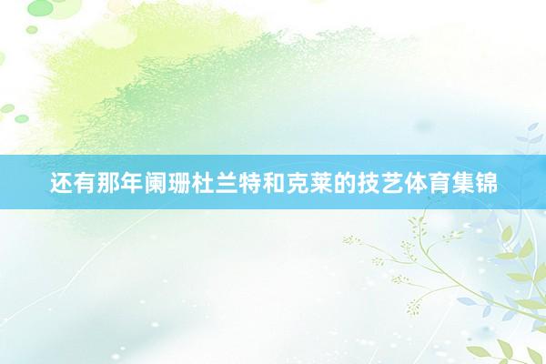 还有那年阑珊杜兰特和克莱的技艺体育集锦