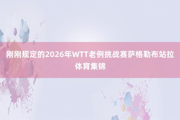 刚刚规定的2026年WTT老例挑战赛萨格勒布站拉体育集锦
