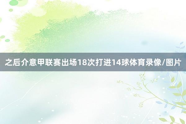 之后介意甲联赛出场18次打进14球体育录像/图片