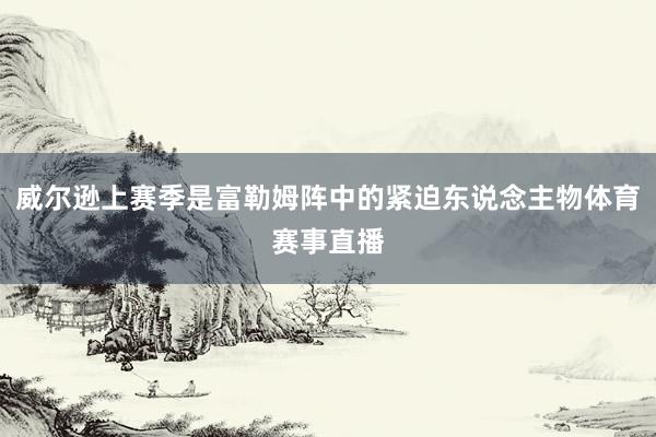 威尔逊上赛季是富勒姆阵中的紧迫东说念主物体育赛事直播